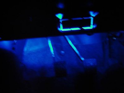 7 neon.jpg